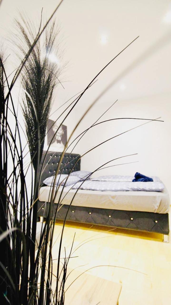 Cozy In Center Dw19 Privatunterkunft